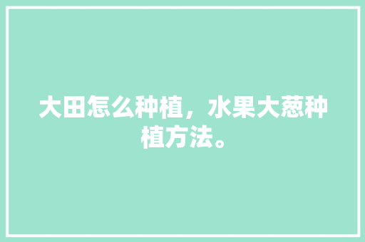 大田怎么种植，水果大葱种植方法。 大田怎么种植，水果大葱种植方法。 土壤施肥