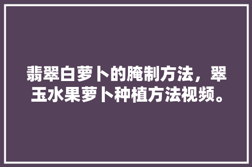 翡翠白萝卜的腌制方法，翠玉水果萝卜种植方法视频。 翡翠白萝卜的腌制方法，翠玉水果萝卜种植方法视频。 土壤施肥