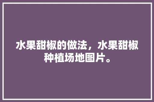 水果甜椒的做法，水果甜椒种植场地图片。 水果甜椒的做法，水果甜椒种植场地图片。 蔬菜种植