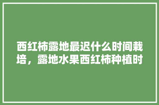 西红柿露地最迟什么时间栽培，露地水果西红柿种植时间表。 西红柿露地最迟什么时间栽培，露地水果西红柿种植时间表。 畜牧养殖