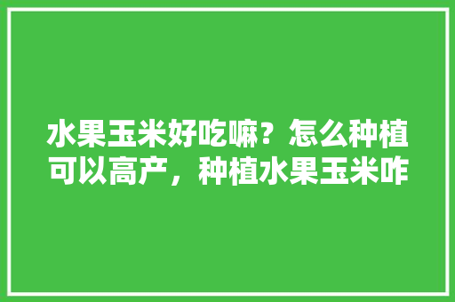 水果玉米好吃嘛？怎么种植可以高产，种植水果玉米咋样施肥。 水果玉米好吃嘛？怎么种植可以高产，种植水果玉米咋样施肥。 家禽养殖