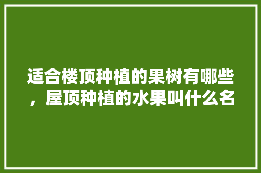 适合楼顶种植的果树有哪些，屋顶种植的水果叫什么名字。 适合楼顶种植的果树有哪些，屋顶种植的水果叫什么名字。 水果种植