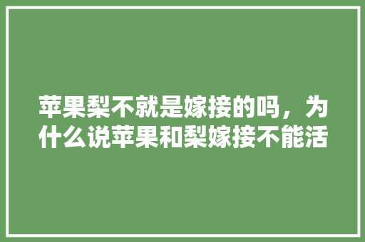 苹果梨不就是嫁接的吗，为什么说苹果和梨嫁接不能活，大和龙龙果实。 苹果梨不就是嫁接的吗，为什么说苹果和梨嫁接不能活，大和龙龙果实。 水果种植