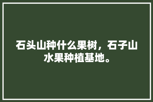 石头山种什么果树，石子山水果种植基地。 石头山种什么果树，石子山水果种植基地。 蔬菜种植