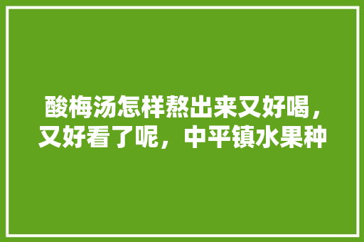 酸梅汤怎样熬出来又好喝，又好看了呢，中平镇水果种植面积多少亩。 酸梅汤怎样熬出来又好喝，又好看了呢，中平镇水果种植面积多少亩。 土壤施肥