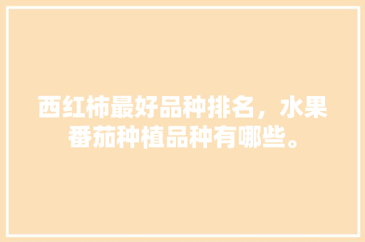 西红柿最好品种排名，水果番茄种植品种有哪些。 西红柿最好品种排名，水果番茄种植品种有哪些。 蔬菜种植