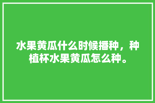 水果黄瓜什么时候播种，种植杯水果黄瓜怎么种。 水果黄瓜什么时候播种，种植杯水果黄瓜怎么种。 土壤施肥