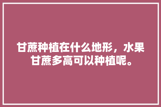 甘蔗种植在什么地形，水果甘蔗多高可以种植呢。 甘蔗种植在什么地形，水果甘蔗多高可以种植呢。 土壤施肥