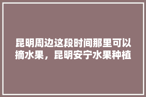 昆明周边这段时间那里可以摘水果，昆明安宁水果种植面积多少亩。 昆明周边这段时间那里可以摘水果，昆明安宁水果种植面积多少亩。 家禽养殖