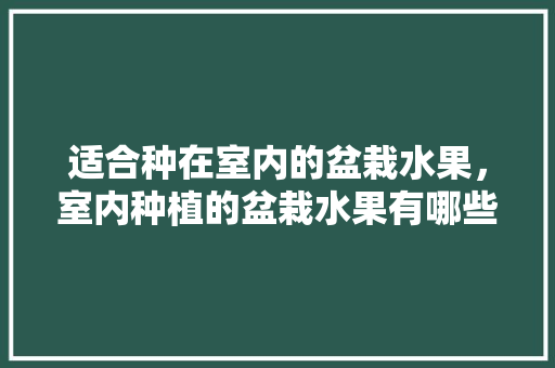 适合种在室内的盆栽水果，室内种植的盆栽水果有哪些。 适合种在室内的盆栽水果，室内种植的盆栽水果有哪些。 畜牧养殖