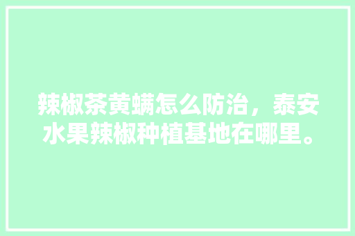 辣椒茶黄螨怎么防治，泰安水果辣椒种植基地在哪里。 辣椒茶黄螨怎么防治，泰安水果辣椒种植基地在哪里。 畜牧养殖