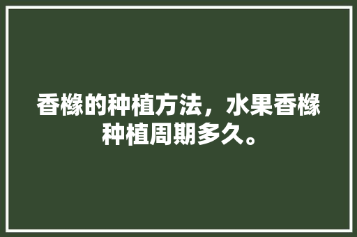 香橼的种植方法，水果香橼种植周期多久。 香橼的种植方法，水果香橼种植周期多久。 水果种植