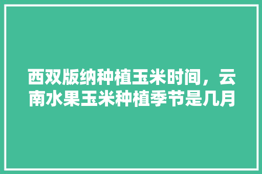 西双版纳种植玉米时间，云南水果玉米种植季节是几月。 西双版纳种植玉米时间，云南水果玉米种植季节是几月。 土壤施肥