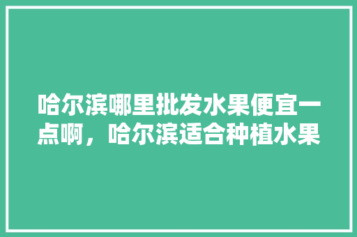 哈尔滨哪里批发水果便宜一点啊，哈尔滨适合种植水果吗。 哈尔滨哪里批发水果便宜一点啊，哈尔滨适合种植水果吗。 蔬菜种植