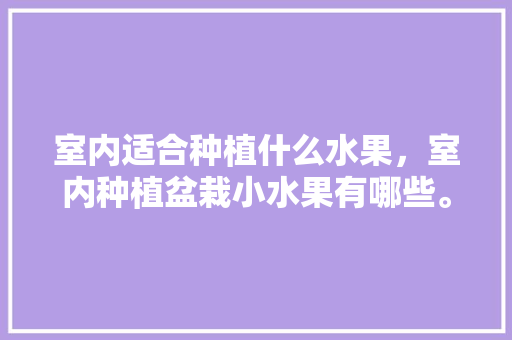 室内适合种植什么水果，室内种植盆栽小水果有哪些。 室内适合种植什么水果，室内种植盆栽小水果有哪些。 水果种植