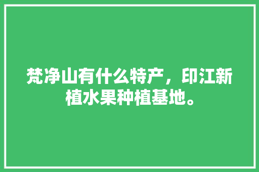 梵净山有什么特产，印江新植水果种植基地。 梵净山有什么特产，印江新植水果种植基地。 畜牧养殖