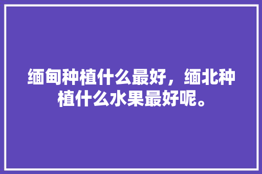 缅甸种植什么最好，缅北种植什么水果最好呢。 缅甸种植什么最好，缅北种植什么水果最好呢。 家禽养殖