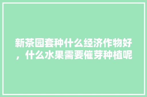 新茶园套种什么经济作物好，什么水果需要催芽种植呢。 新茶园套种什么经济作物好，什么水果需要催芽种植呢。 畜牧养殖