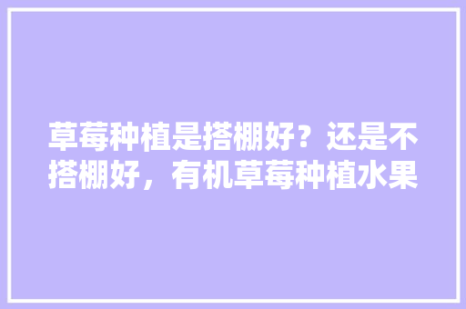 草莓种植是搭棚好？还是不搭棚好，有机草莓种植水果图片大全。 草莓种植是搭棚好？还是不搭棚好，有机草莓种植水果图片大全。 家禽养殖