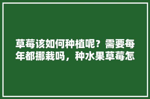 草莓该如何种植呢？需要每年都挪栽吗，种水果草莓怎么种植。 草莓该如何种植呢？需要每年都挪栽吗，种水果草莓怎么种植。 蔬菜种植