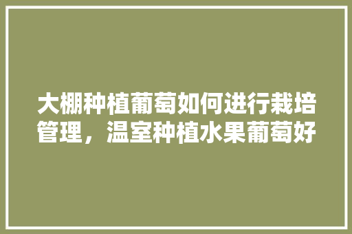 大棚种植葡萄如何进行栽培管理，温室种植水果葡萄好吗。 大棚种植葡萄如何进行栽培管理，温室种植水果葡萄好吗。 水果种植