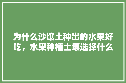 为什么沙壤土种出的水果好吃，水果种植土壤选择什么肥料。 为什么沙壤土种出的水果好吃，水果种植土壤选择什么肥料。 水果种植