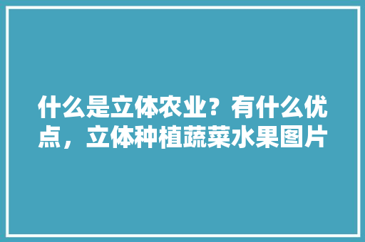 什么是立体农业？有什么优点，立体种植蔬菜水果图片。 什么是立体农业？有什么优点，立体种植蔬菜水果图片。 畜牧养殖