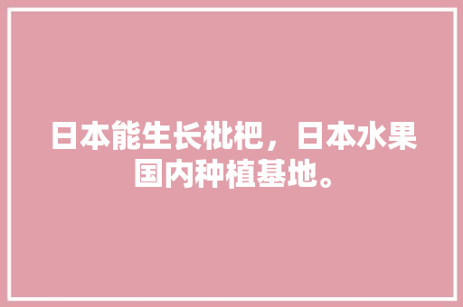 日本能生长枇杷，日本水果国内种植基地。 日本能生长枇杷，日本水果国内种植基地。 蔬菜种植