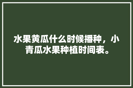 水果黄瓜什么时候播种，小青瓜水果种植时间表。 水果黄瓜什么时候播种，小青瓜水果种植时间表。 土壤施肥