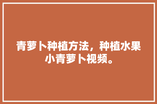 青萝卜种植方法，种植水果小青萝卜视频。 青萝卜种植方法，种植水果小青萝卜视频。 水果种植