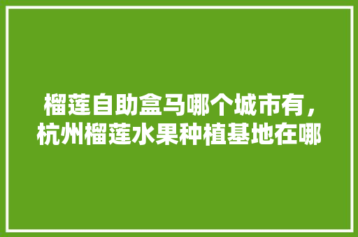 榴莲自助盒马哪个城市有，杭州榴莲水果种植基地在哪里。 榴莲自助盒马哪个城市有，杭州榴莲水果种植基地在哪里。 土壤施肥