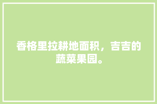 香格里拉耕地面积，吉吉的蔬菜果园。 香格里拉耕地面积，吉吉的蔬菜果园。 蔬菜种植