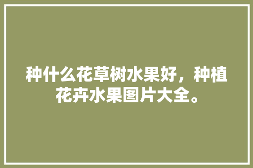 种什么花草树水果好，种植花卉水果图片大全。 种什么花草树水果好，种植花卉水果图片大全。 水果种植