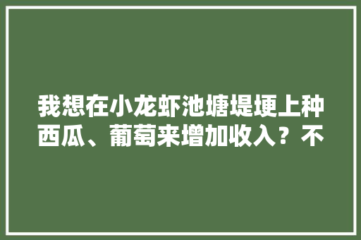 我想在小龙虾池塘堤埂上种西瓜、葡萄来增加收入？不知道可行不，小伙子种植水果的说说。 我想在小龙虾池塘堤埂上种西瓜、葡萄来增加收入？不知道可行不，小伙子种植水果的说说。 畜牧养殖