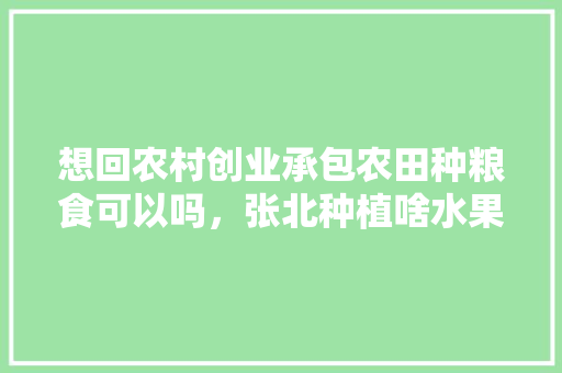 想回农村创业承包农田种粮食可以吗，张北种植啥水果最好呢。 想回农村创业承包农田种粮食可以吗，张北种植啥水果最好呢。 水果种植