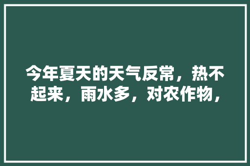 今年夏天的天气反常，热不起来，雨水多，对农作物，水果，蔬菜。有些什么影响，夏天水果家庭种植方法。 今年夏天的天气反常，热不起来，雨水多，对农作物，水果，蔬菜。有些什么影响，夏天水果家庭种植方法。 水果种植