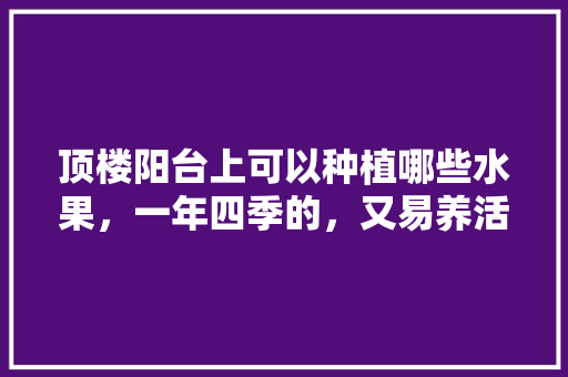 顶楼阳台上可以种植哪些水果，一年四季的，又易养活的，阳台种植水果挂架图片大全。 顶楼阳台上可以种植哪些水果，一年四季的，又易养活的，阳台种植水果挂架图片大全。 土壤施肥