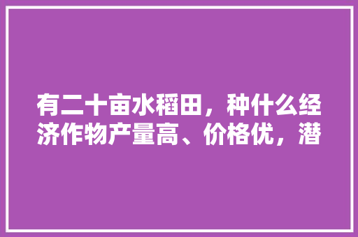 有二十亩水稻田，种什么经济作物产量高、价格优，潜江种植什么水果最多。 有二十亩水稻田，种什么经济作物产量高、价格优，潜江种植什么水果最多。 水果种植