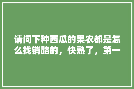 请问下种西瓜的果农都是怎么找销路的，快熟了，第一次种西瓜不懂，想种植水果来卖怎么样。 请问下种西瓜的果农都是怎么找销路的，快熟了，第一次种西瓜不懂，想种植水果来卖怎么样。 土壤施肥