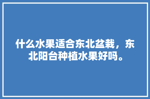 什么水果适合东北盆栽，东北阳台种植水果好吗。 什么水果适合东北盆栽，东北阳台种植水果好吗。 水果种植