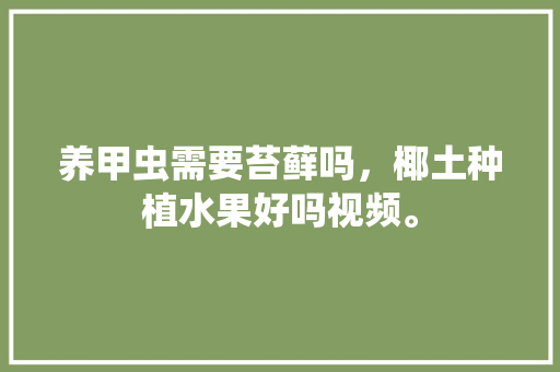 养甲虫需要苔藓吗，椰土种植水果好吗视频。 养甲虫需要苔藓吗，椰土种植水果好吗视频。 水果种植