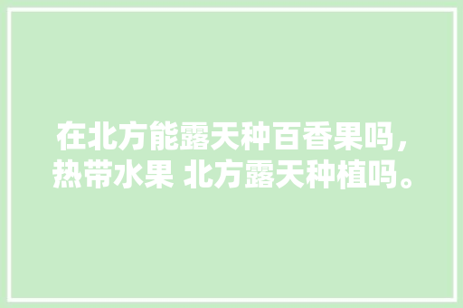 在北方能露天种百香果吗，热带水果 北方露天种植吗。 在北方能露天种百香果吗，热带水果 北方露天种植吗。 水果种植