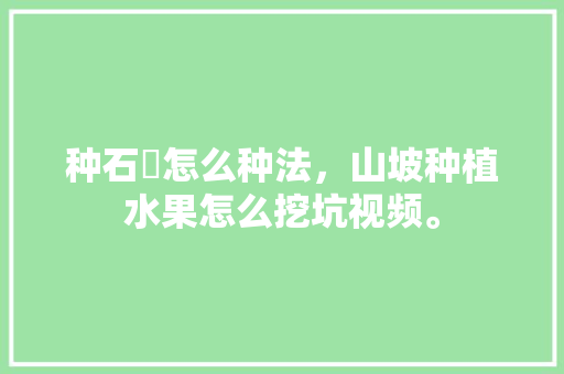 种石磂怎么种法，山坡种植水果怎么挖坑视频。 种石磂怎么种法，山坡种植水果怎么挖坑视频。 畜牧养殖