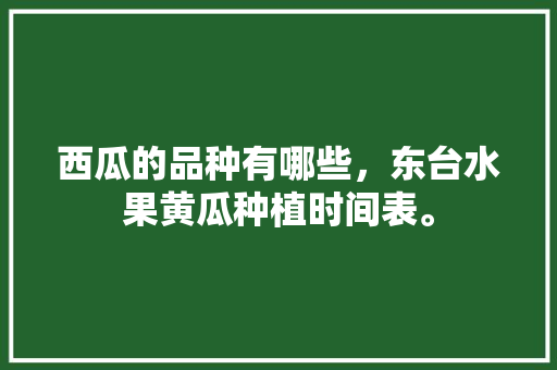 西瓜的品种有哪些，东台水果黄瓜种植时间表。 西瓜的品种有哪些，东台水果黄瓜种植时间表。 蔬菜种植