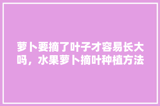 萝卜要摘了叶子才容易长大吗，水果萝卜摘叶种植方法。 萝卜要摘了叶子才容易长大吗，水果萝卜摘叶种植方法。 土壤施肥