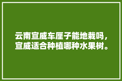 云南宣威车厘子能地栽吗，宣威适合种植哪种水果树。 云南宣威车厘子能地栽吗，宣威适合种植哪种水果树。 土壤施肥