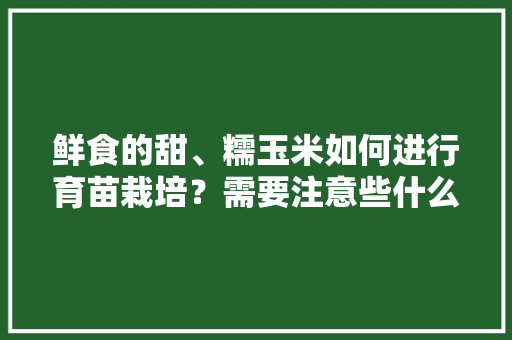 鲜食的甜、糯玉米如何进行育苗栽培？需要注意些什么，爆米花视频种植水果教程。 鲜食的甜、糯玉米如何进行育苗栽培？需要注意些什么，爆米花视频种植水果教程。 畜牧养殖