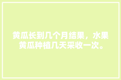 黄瓜长到几个月结果，水果黄瓜种植几天采收一次。 黄瓜长到几个月结果，水果黄瓜种植几天采收一次。 蔬菜种植