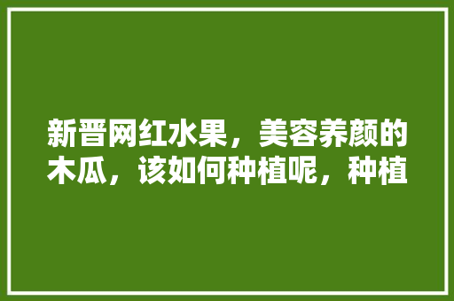 新晋网红水果，美容养颜的木瓜，该如何种植呢，种植水果树苗推荐品种。 新晋网红水果，美容养颜的木瓜，该如何种植呢，种植水果树苗推荐品种。 水果种植