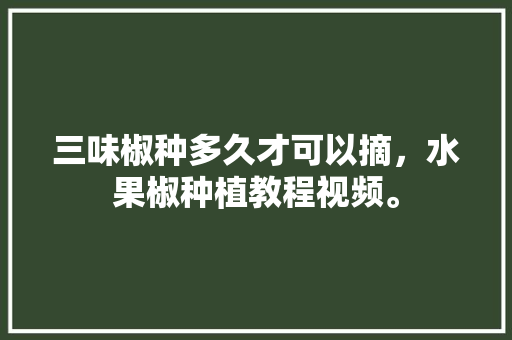 三味椒种多久才可以摘，水果椒种植教程视频。 三味椒种多久才可以摘，水果椒种植教程视频。 水果种植